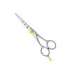 Professional Hair Cutting Scissors