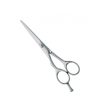 Professional Hair Cutting Scissors