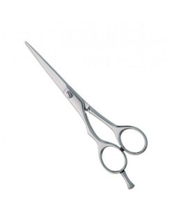 Professional Hair Cutting Scissors