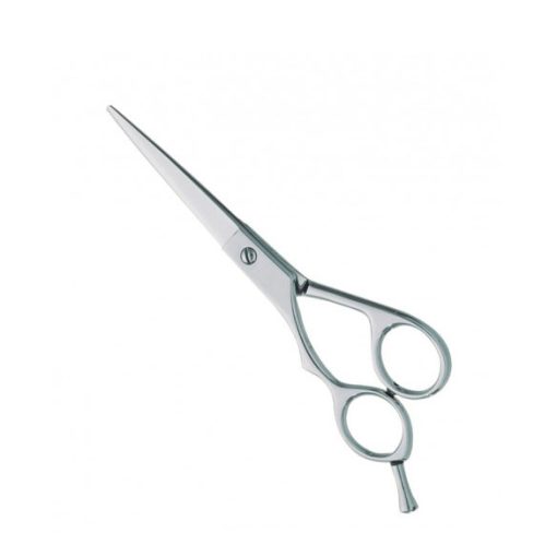 Professional Hair Cutting Scissors