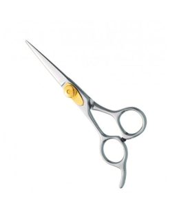 Professional Hair Cutting Scissors