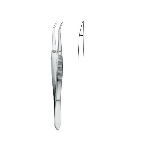 Cilia Forceps