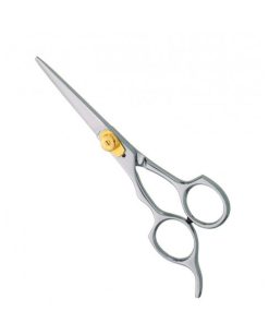 Professional Hair Cutting Scissors