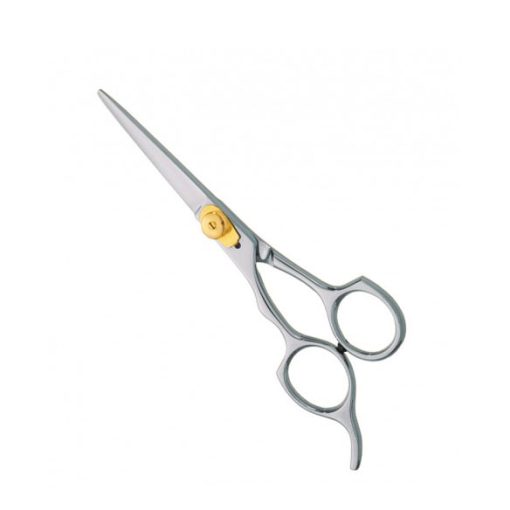 Professional Hair Cutting Scissors