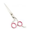 Razor Edge Hair Dressing Scissors