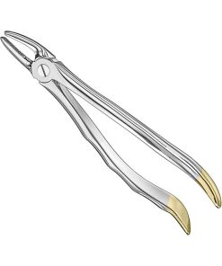 extracting-forceps-2