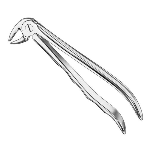 extracting-forceps-anat-6