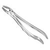 extracting-forceps-anat-8