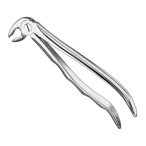 extracting-forceps-anat-9