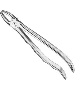 extracting-forceps-anat-13