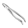extracting-forceps-anat-14