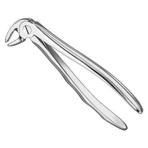 extracting-forceps-anat-19