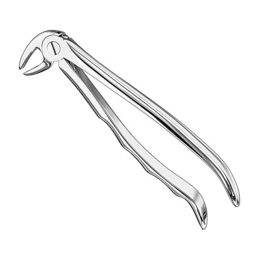 extracting-forceps-anat-5