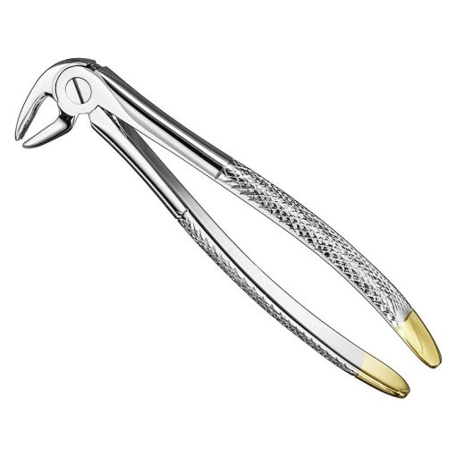 extracting-forceps-engl-6